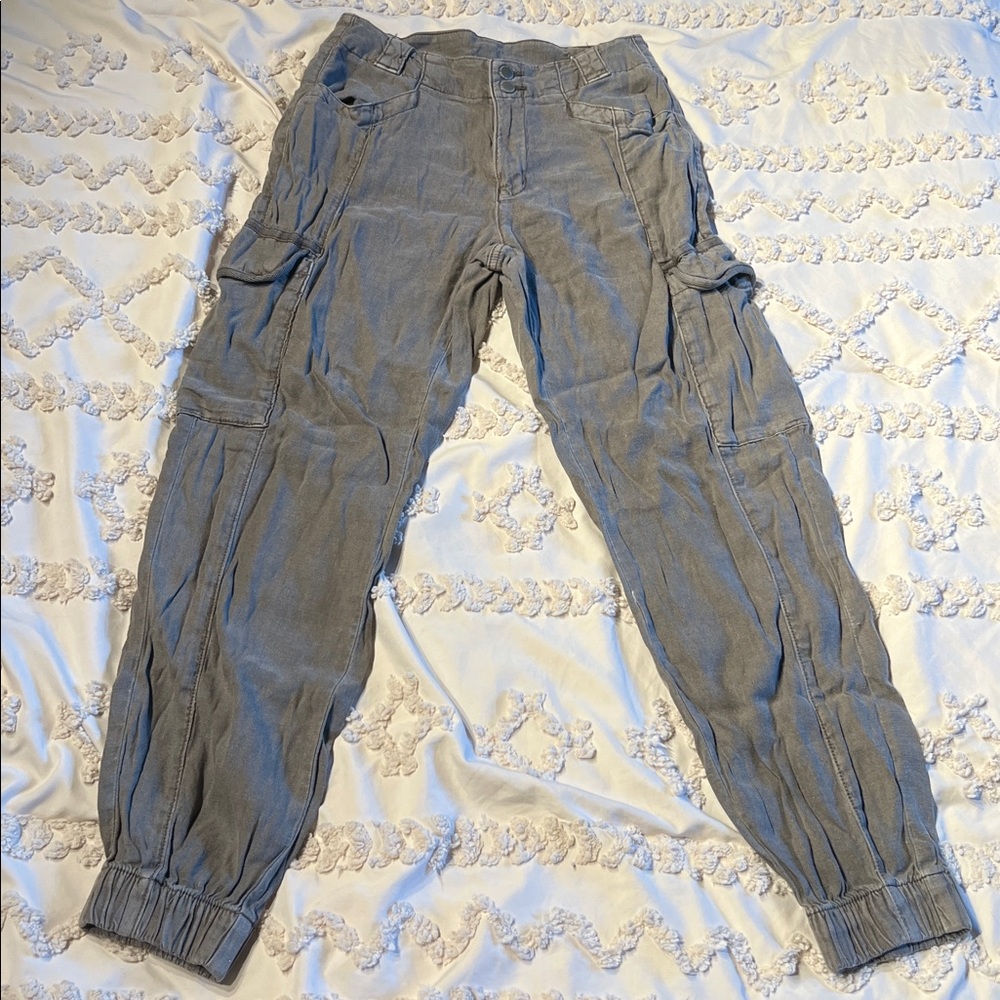 American Eagle Outfitters Gray Ankle Cargo Pants